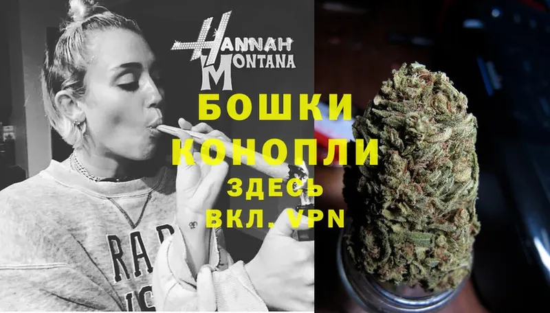 наркошоп  Камень-на-Оби  Бошки марихуана SATIVA & INDICA 